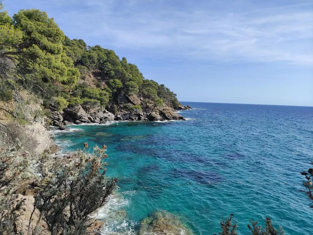 Vue Panoramique Exceptionnelle Lejlighed Le Lavandou Frankrig